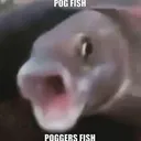 Fishingtwt Official Discord Server!
