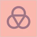 The Meraki Organization