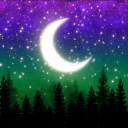 The Snow Zone Server Icon