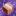 The Box Dimension ๐'s icon