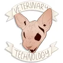 PF Vet Tech Study Buddies