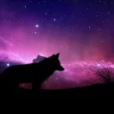 Nightstone Pack