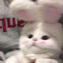 neko ☆ Discord server icon