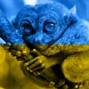 Українська бебра