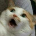 Godhome