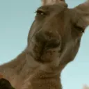2b2t Australia / OCE