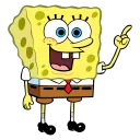 sponge