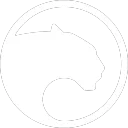 Panther Protocol (Official)