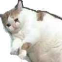 kiersten's kool kids klub