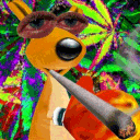 🌈Kaopej Discord🌈