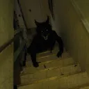 The Cursed Discord