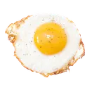 🥚 Egg Lounge 🥚