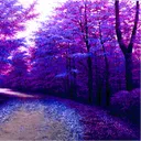 Sapphire Forest