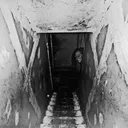 MacDaddys Basement