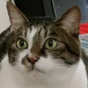 ネット隊本部