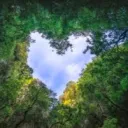 Club Environnement Dev Durable