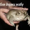 Твитторовчане