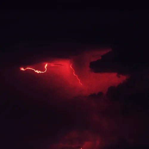 𝕱𝖎𝖗𝖊.𝕾𝖙𝖔𝖗𝖒.𝖊𝖝𝖊 — мониторинг Discord сервера, статистика и рейтинг