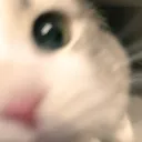 𝒱𝒾𝒷𝑒 𝒞𝓁𝓊𝒷's icon