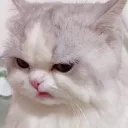 （  ❥ ）