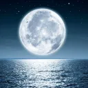 Pools of Moonlight