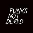 Punk's Not (is) Dead (dad) Discord Server Icon