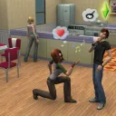 The World of Sims