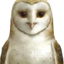 They Watch Us banner