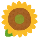 たるこふ幼稚園ひまわり組