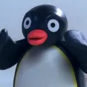 Noot Noot