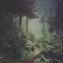 Woodlands