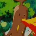 Pokemon Stat Tracker