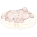 /s'more