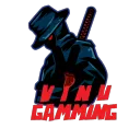 V I N U  GAMING