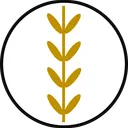 NEPRI FINANCE COMMUNITY