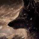 狼THE WØLFPACK狼 Discord Server Icon
