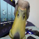 Coin Coin Gaming