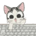 Petit chat