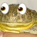 •Project Froggo• 🐸