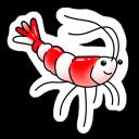 Crevettes d’aquarium & cie