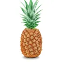 Skill Point Gang Discord Server Icon