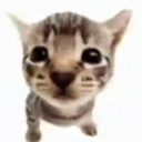 Chud Central Discord server icon