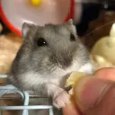 わくサーバー