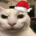 Globus Polski's icon