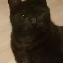 Midnight's creativity realm