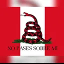 LIBERTAD ARMY 🇵🇪🐍