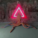 The Krakens