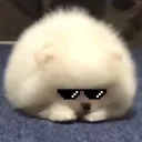 とみおのサーバー