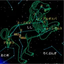 Leo♌