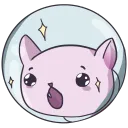 spacecat's ship